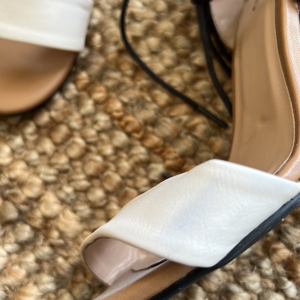 Call it Spring Heels - Picture 9 of 9